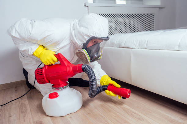 Best Residential Pest Control  in Clifton, AZ